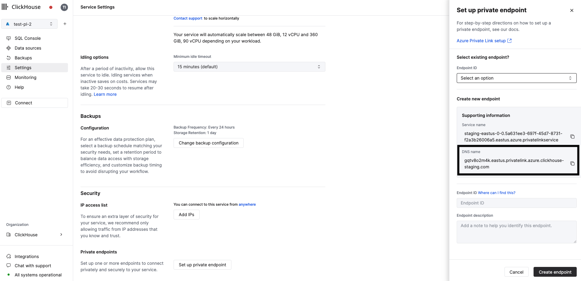 Private Endpoint DNS Name