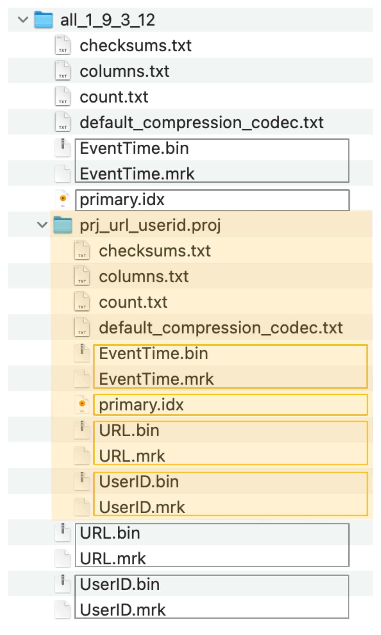 Storage layout of projection alongside primary table data